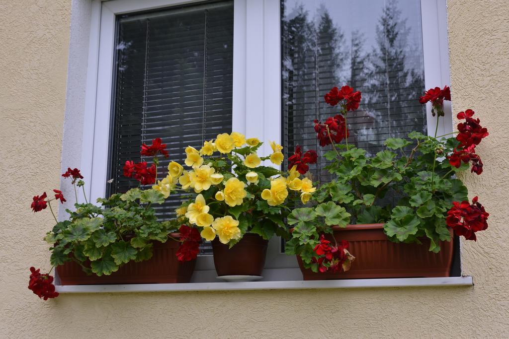 Dobrila Apartments Zlatibor Extérieur photo