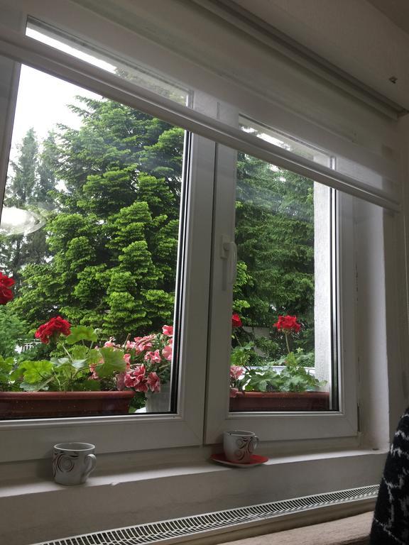 Dobrila Apartments Zlatibor Extérieur photo