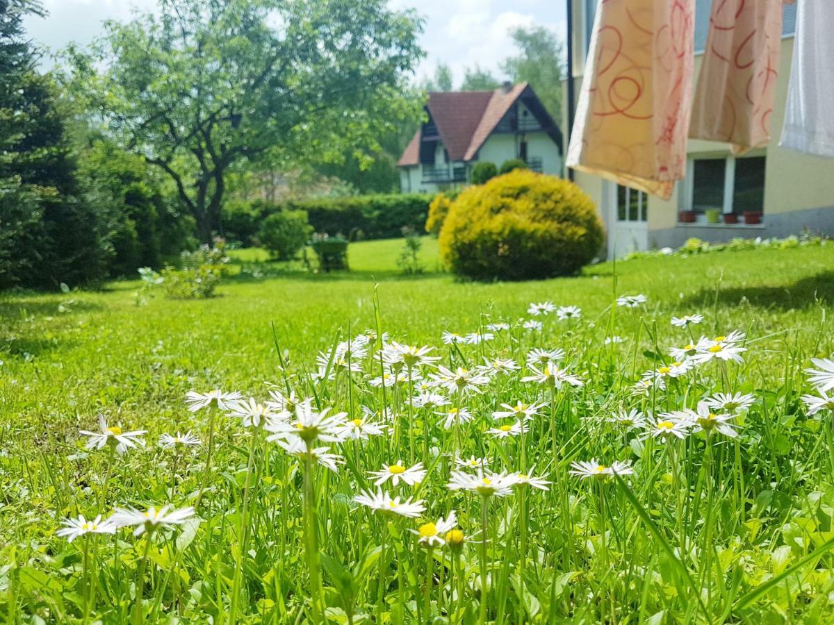 Dobrila Apartments Zlatibor Extérieur photo